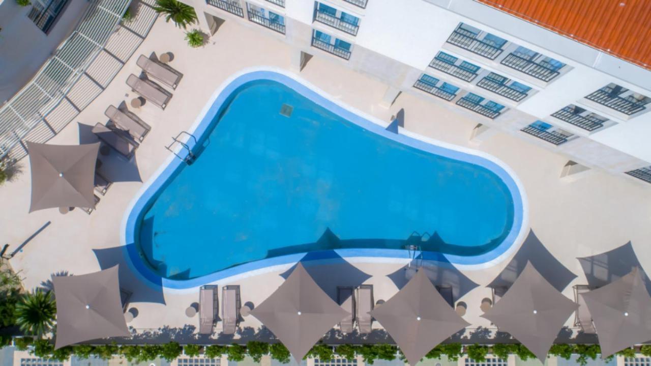 Garden Palace - Dorothy Supreme Apartment Umag